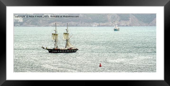 TS Royalist Sailing Off Brixham Framed Mounted Print by Peter F Hunt
