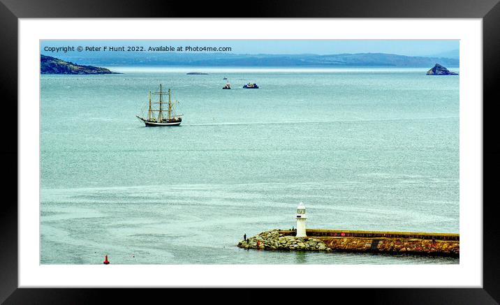 Pelican of London Coming Into Torbay Framed Mounted Print by Peter F Hunt