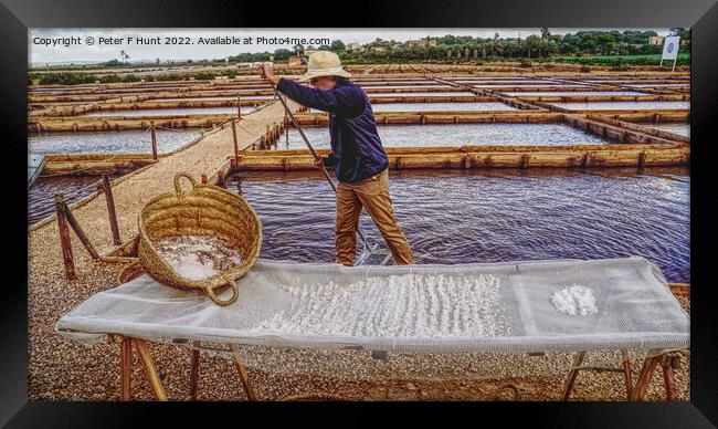 Harvesting Domestic Sea Salt Mallorca Framed Print by Peter F Hunt