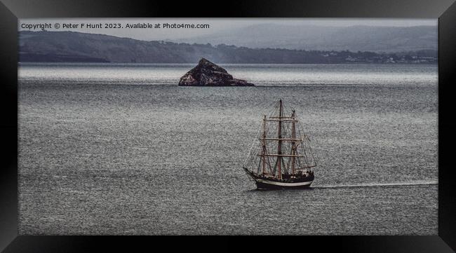 TS Pelican of London Coming Into Torbay Framed Print by Peter F Hunt