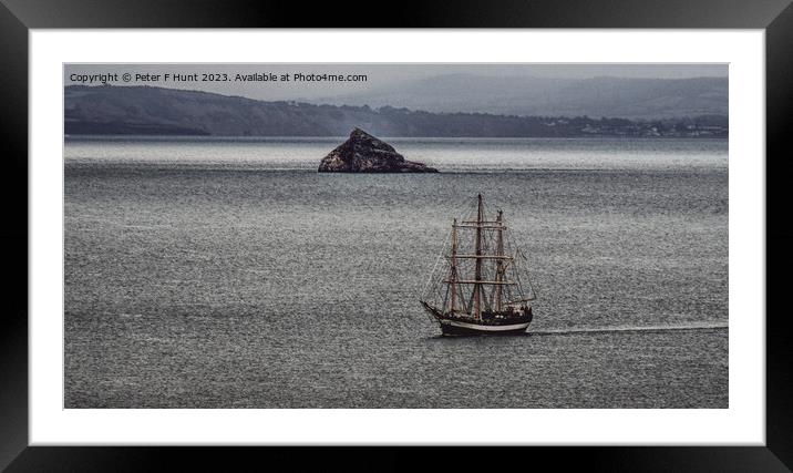 TS Pelican of London Coming Into Torbay Framed Mounted Print by Peter F Hunt