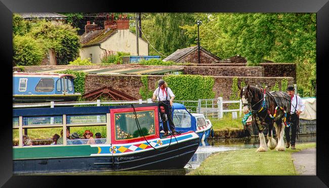 Horse And Barge About To Be United Framed Print by Peter F Hunt