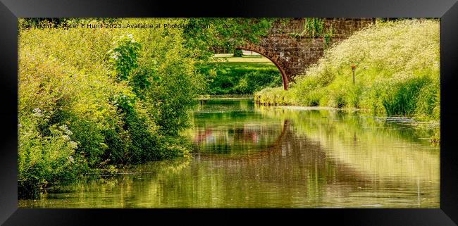 The Lush Green Of The Canal Framed Print by Peter F Hunt