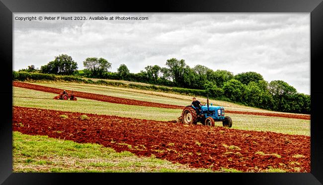 Ploughing The Red Soil Of Devon Framed Print by Peter F Hunt