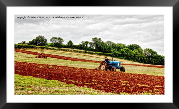 Ploughing The Red Soil Of Devon Framed Mounted Print by Peter F Hunt
