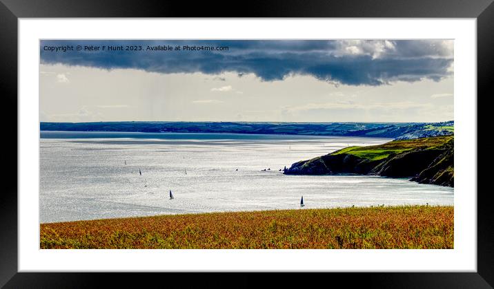 The Dart Estuary And Start Bay Framed Mounted Print by Peter F Hunt