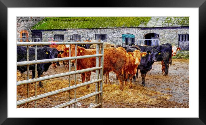 Elberry Farm Broadsands Devon Framed Mounted Print by Peter F Hunt