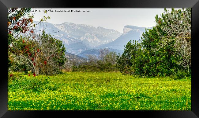Flowers Trees Mountains Framed Print by Peter F Hunt