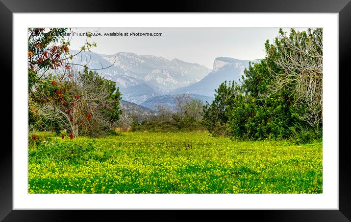 Flowers Trees Mountains Framed Mounted Print by Peter F Hunt