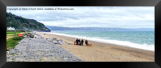 The Beach At Beesands South Devon Framed Print by Peter F Hunt