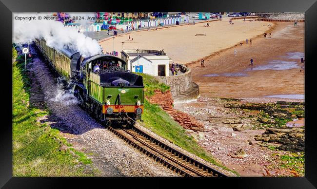 Steam Train Passing Goodrington Beach Framed Print by Peter F Hunt