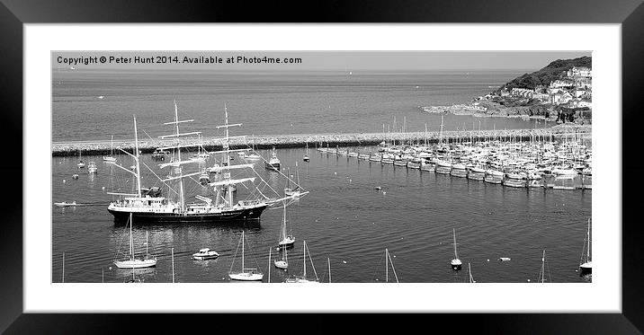 STS Tenacious Entering Brixham Harbour Framed Mounted Print by Peter F Hunt