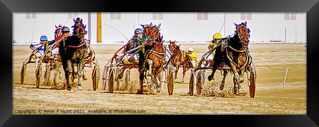 The Race Is On Framed Print by Peter F Hunt