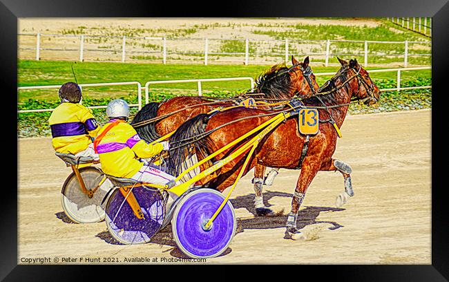 Warming Up For The Race Framed Print by Peter F Hunt