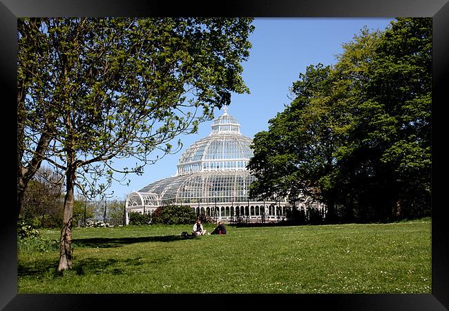 Palm House Framed Print by phillip murphy