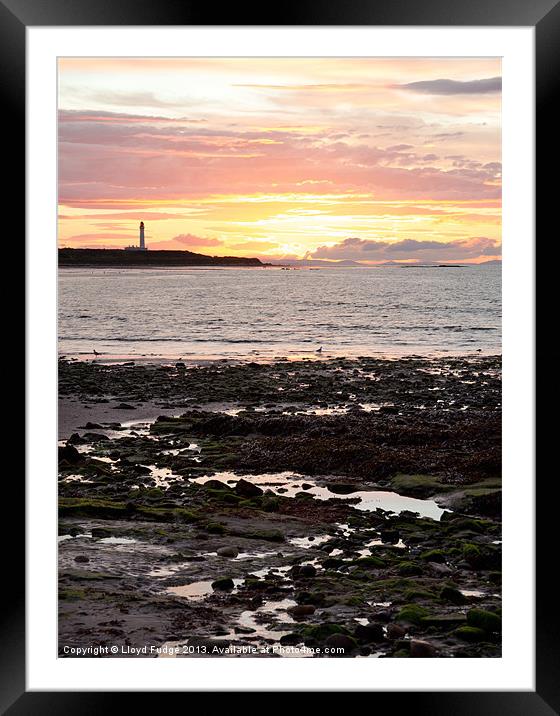 Lossiemouths lighthouse at sunset Framed Mounted Print by Lloyd Fudge