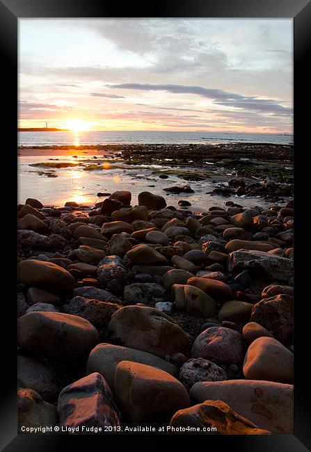 sunset over Lossiemouth beach Framed Print by Lloyd Fudge