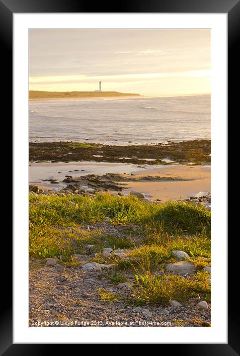 lossiemouth sunset Framed Mounted Print by Lloyd Fudge