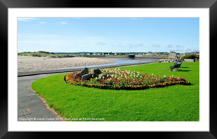 lossiemouth in summer Framed Mounted Print by Lloyd Fudge