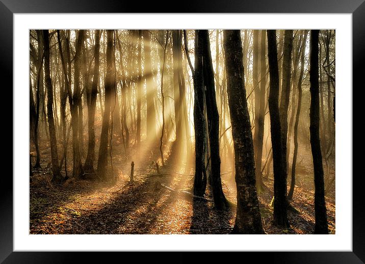 Misty rays Framed Mounted Print by Mike Jennings
