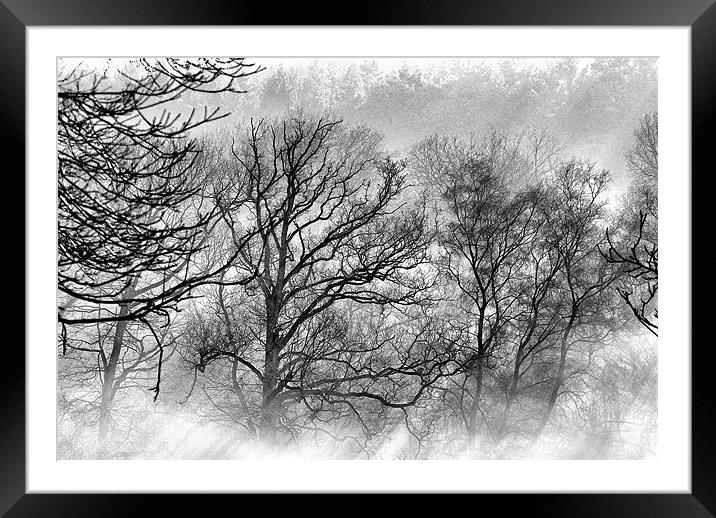 Winter Wood Framed Mounted Print by Mike Jennings