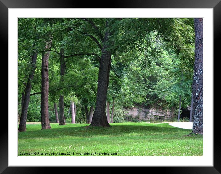 On the Trail Framed Mounted Print by Pics by Jody Adams