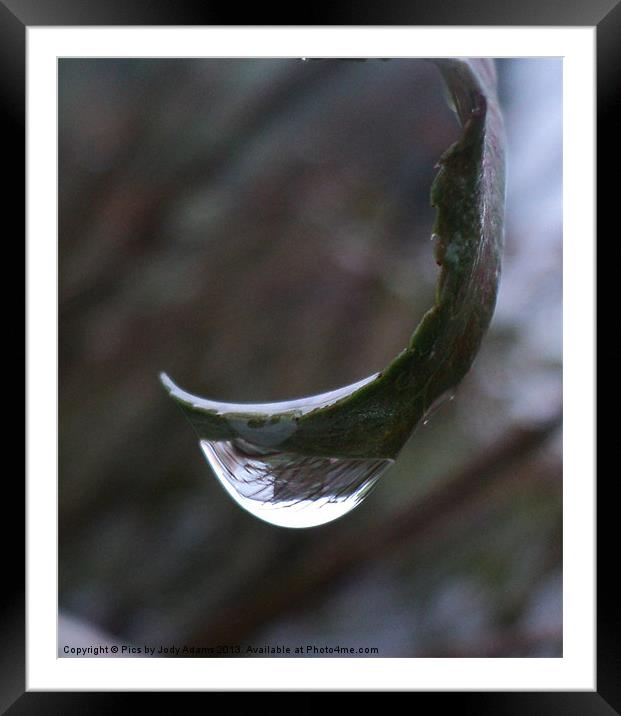 Raindrop Framed Mounted Print by Pics by Jody Adams
