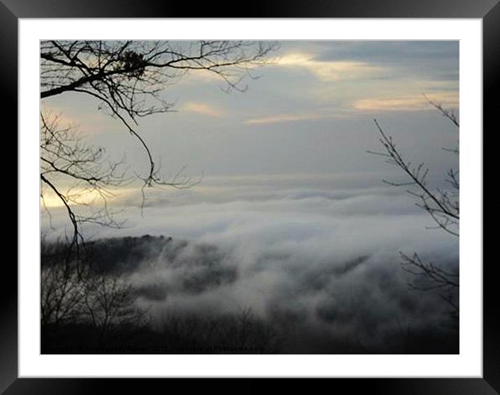 Foggy Framed Mounted Print by Pics by Jody Adams