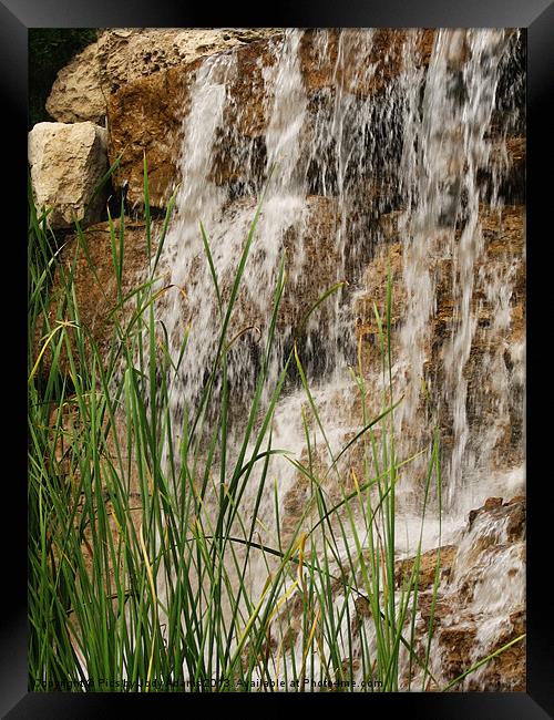 Waterfall and the Reeds Framed Print by Pics by Jody Adams