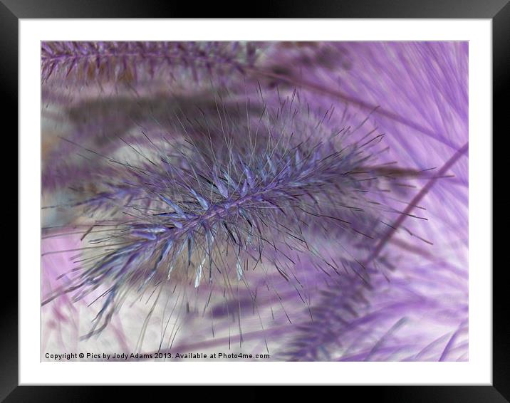 Lavender Grasses Framed Mounted Print by Pics by Jody Adams