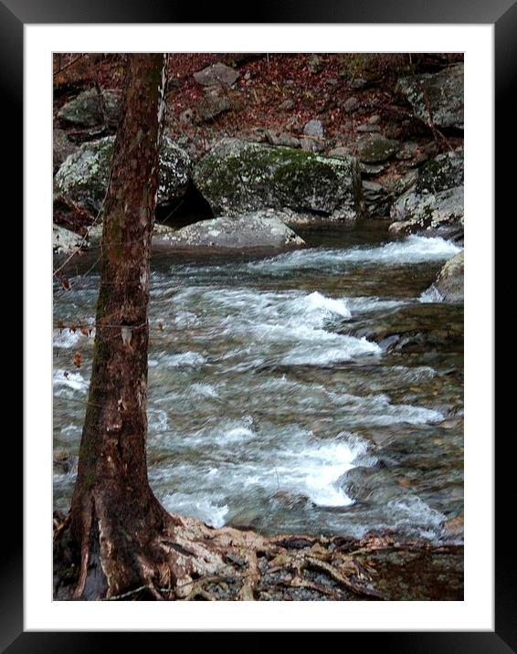 Streaming Along Framed Mounted Print by Pics by Jody Adams