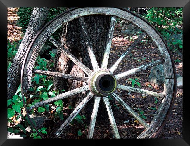 White Wagon Wheel Framed Print by Pics by Jody Adams