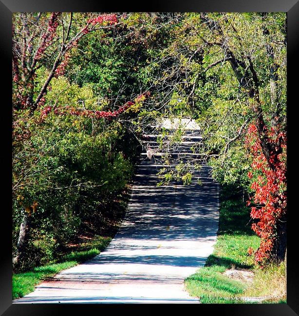 One Lane road Framed Print by Pics by Jody Adams