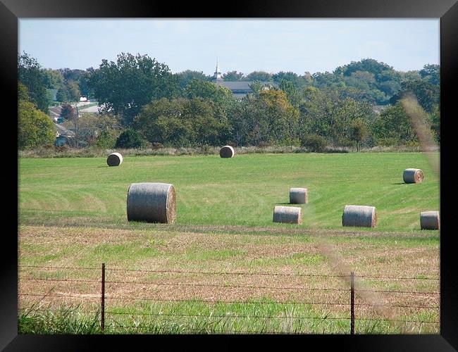 Hay in the Fields Framed Print by Pics by Jody Adams