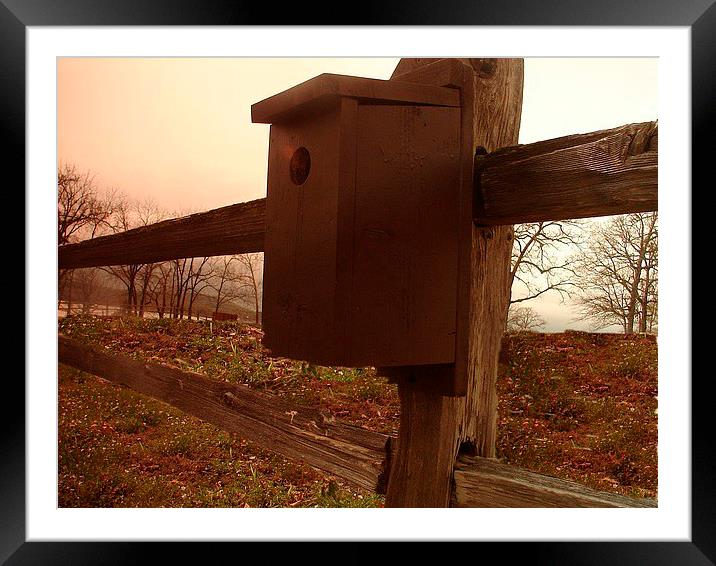 BirdHouse on the Fence Framed Mounted Print by Pics by Jody Adams