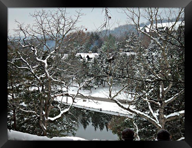 Cabins Amoung the Trees Framed Print by Pics by Jody Adams