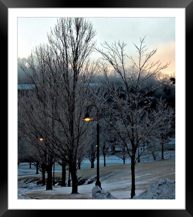 The Light Poles Framed Mounted Print by Pics by Jody Adams