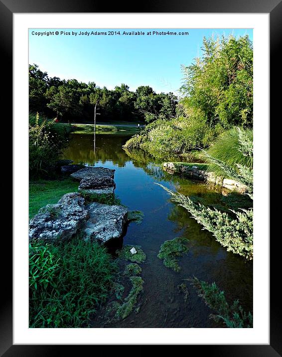  Turtle Pond at the Bridge Framed Mounted Print by Pics by Jody Adams
