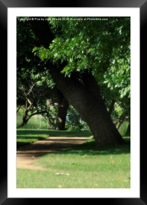  Path through the Park Framed Mounted Print by Pics by Jody Adams