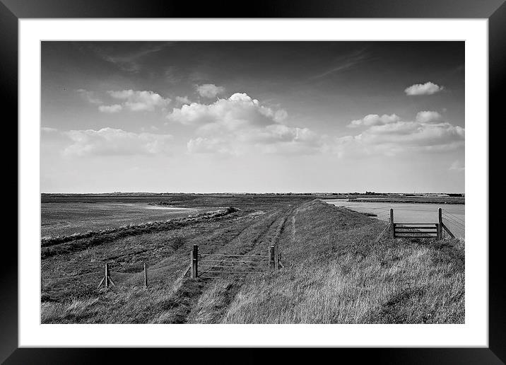 Estuary walk Framed Mounted Print by kev bates