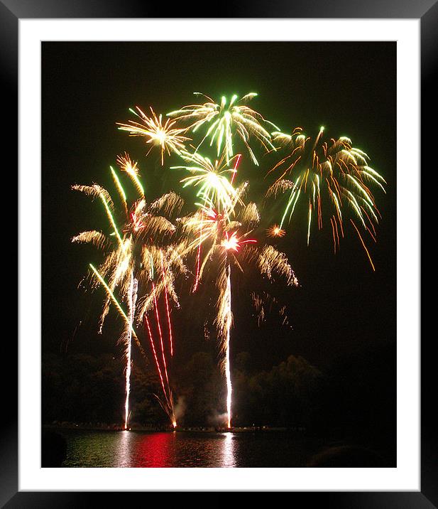 Palm Tree Fireworks Framed Mounted Print by Wayne Usher