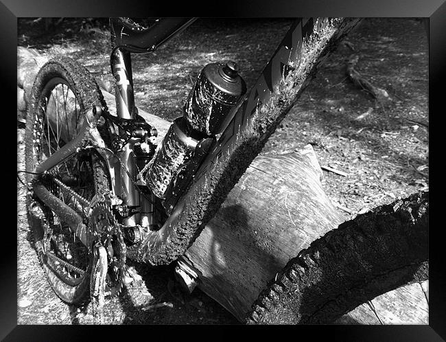Mountain biking dirty riding Framed Print by Colin Richards