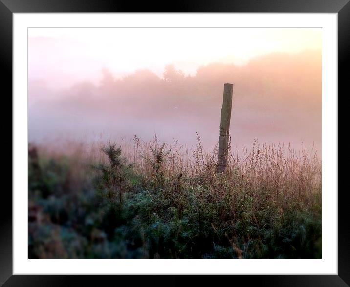 Early misty Autumn Morning, Stone, Dartford Framed Mounted Print by Colin Richards