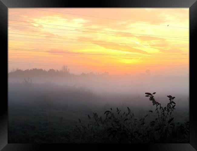 Misty Sunrise Solitude Framed Print by Colin Richards