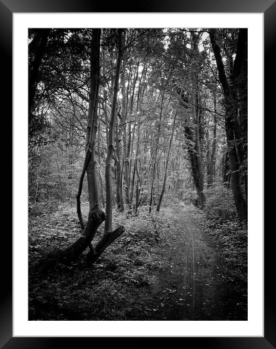 The right Path  Framed Mounted Print by Colin Richards