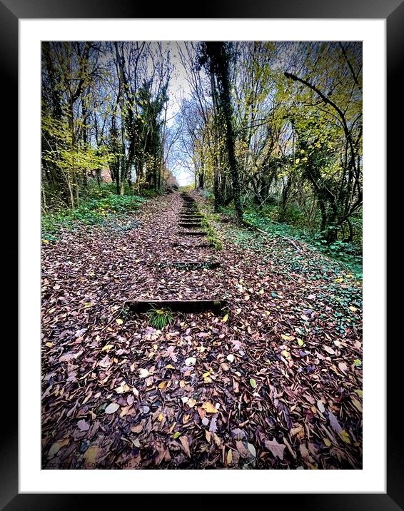 Autumn Staircase  Framed Mounted Print by Colin Richards