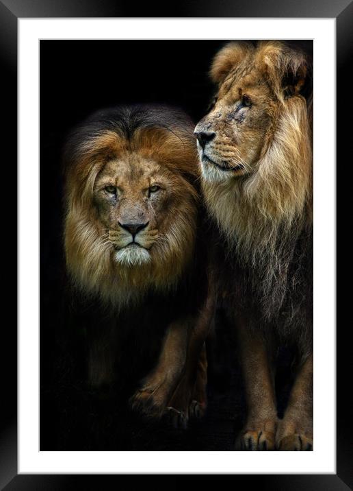 Brothers Framed Mounted Print by Maria 