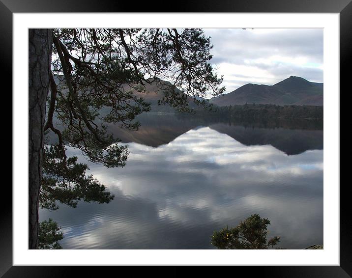 Reflection Framed Mounted Print by Susan Mundell
