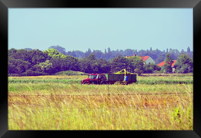 Tractor in the fields Framed Print by Gemma Shipley
