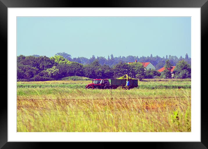 Tractor in the fields Framed Mounted Print by Gemma Shipley